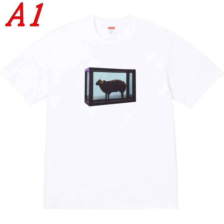 2026秋冬 SUPREME 半袖Tシャツ 男女兼用 モード系