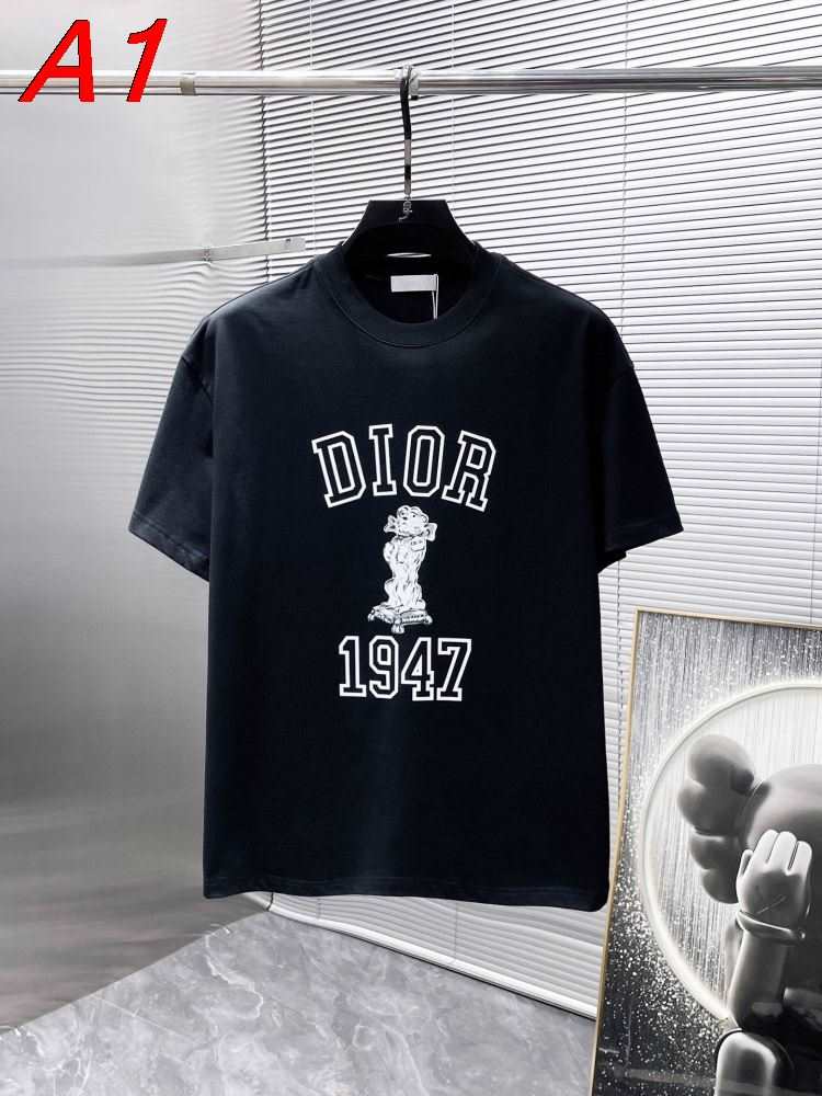 2026年コレクション ディオール 【リラックス】 ナチュラルテイストTシャツ ヘルシー 着回し自在