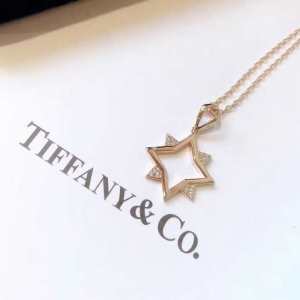 ファッションに最も ティファニー TiffanyCo ネックレス 春夏アイテムから新たに登場