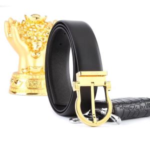 数量限定再入荷 FERRAGAMO サルヴァトーレフェラガモ ベルト 大胆なデザイン 2色可選
