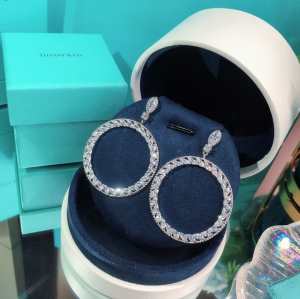 日本未入荷カラー イヤリング 海外でも大人気 ティファニー TiffanyCo 上品に着こなせ