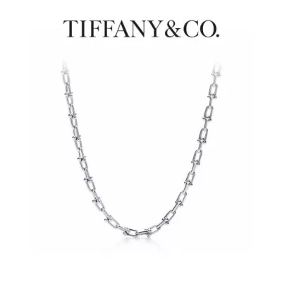 ティファニー ネックレス 2025SS 長持ち Tiffany&Co