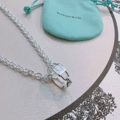 ティファニー ネックレス 2025SS メッキ剥がれない Tiffany&Co