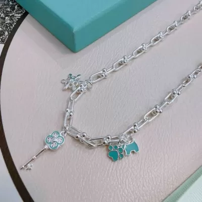 ティファニー ネックレス 2025SS アウトドア向け Tiffany&Co