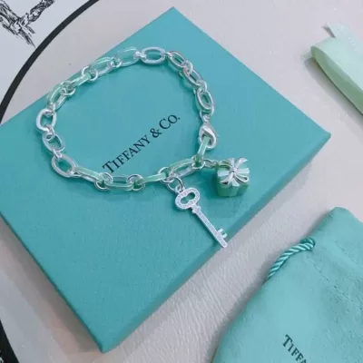 ティファニー ブレスレット/バングル 2025SS セラミックコート Tiffany&Co
