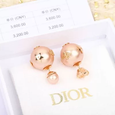 ディオール イヤリング 2025SS 精密加工 DIOR
