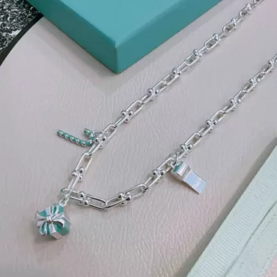 ティファニー ネックレス 2025SS 海水対応 Tiffany&Co