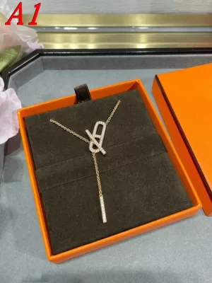 エルメス ネックレス 2025SS シャワー着用可 HERMES