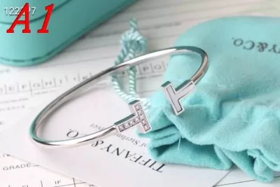 ティファニー ブレスレット/バングル 2025SS プロテクトコート Tiffany&Co