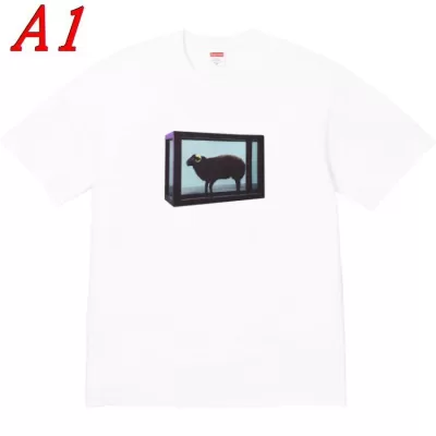 2026秋冬 SUPREME 半袖Tシャツ 男女兼用 モード系