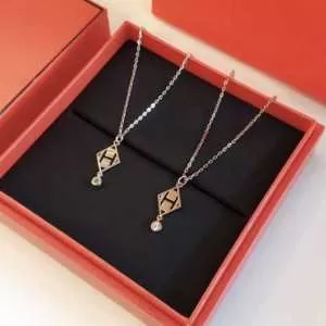 夏が待ちきれないブランド新作 エルメス HERMES ネックレス 2色可選 新着春夏2020セール