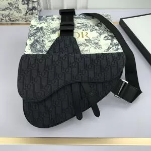 レディースバッグ 2色可選 大人気のブランドの新作 ディオール ストリート系に大人気 DIOR