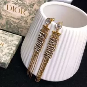 新作コレクションを見る ディオール2020年の春夏に着たい DIOR 馴染みやすいスタイル美品 ピアス