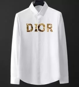 今年の春トレンド 2色可選 シャツ 今なお素敵なアイテムだ ディオール DIOR