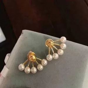 20SS☆送料込 ディオール DIOR ストリート系に大人気 ピアス 非常にシンプルなデザインな