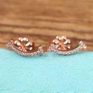 2色可選 2020モデル ティファニー普段見ないデザインばかり TiffanyCo ピアス確定となる上品