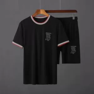 半袖Tシャツ 取り入れやすい バーバリー 人気が継続中 BURBERRY 確定となる上品