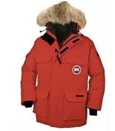 機能性ある　2020秋冬 Canada Goose ダウンジャケット 2色可選