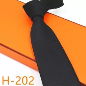 トレンド入り確実最新コレクション HERMES ネクタイ エルメス 2020秋断然ブランド推し