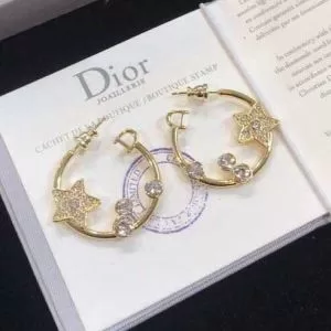 2020話題の商品 ディオール DIOR 高級感のある素材 ピアス 春夏コレクション新品