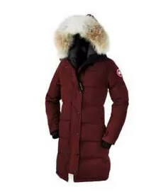 ファション性ある 2020秋冬 Canada Goose ダウンジャケット 綺麗 7色可選