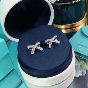 20新作です ティファニー 質の高い新品 TiffanyCo ピアス 価格も嬉しいアイテム