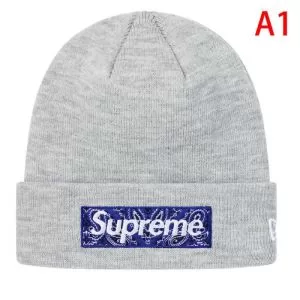 シュプリーム SUPREME 多色可選 2020年春限定 Supreme 19FW New Era Box Logo Beanie ニット帽ニットキャップ