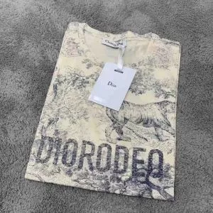 2020春夏トレンドアイテム 最も目立ったブランド新品 DIOR ディオール 半袖Tシャツ