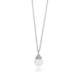 ティファニー TiffanyCo ネックレス 春夏トップス最新情報をチェック 不動の人気2020最新