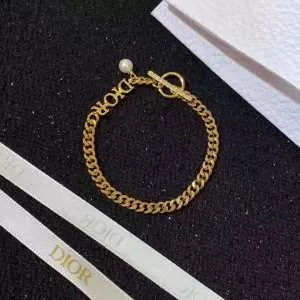 日本未入荷カラー ディオール DIOR 上品に着こなせ ブレスレット 注目を集めてる