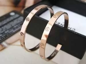2020秋冬新作 大人気☆NEWCARTIER カルティエ ピアス