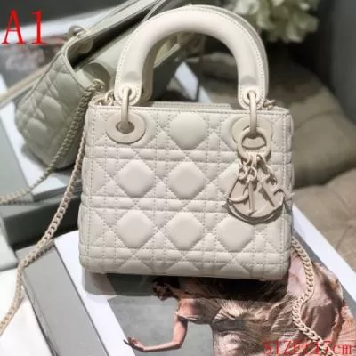 ディオール DIOR ★安心★追跡付 ハンドバッグ 最新商品即完売 限定品 人気No.1