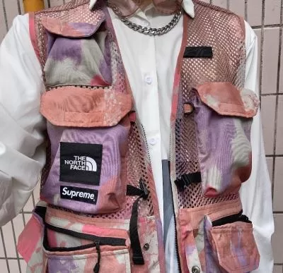 シュプリーム Supreme トレーナー/パーカー/ジャケット、上着 The North Face Cargo Vest