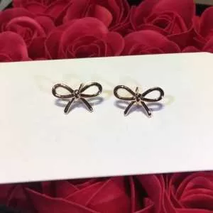 2色可選 ティファニー TiffanyCo ぐっと鮮度がアップ ピアス 2020年春夏シーズンの人気