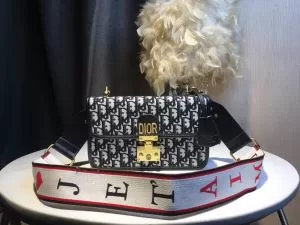 ぜひ今年のトレンドをチェック ディオール DIOR ちょっと大人の印象 レディースバッグ 2020年春夏流行ファッション